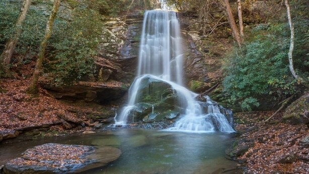 Een waterval in een bebost gebied, met een heldere beek aan de voet.