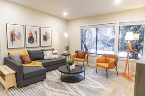 TV, fireplace, offices, computer monitors