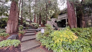 A pathway leading to a building surrounded by tall trees and lush greenery. - Washington State Inspired, Free Parking (Bellevue)