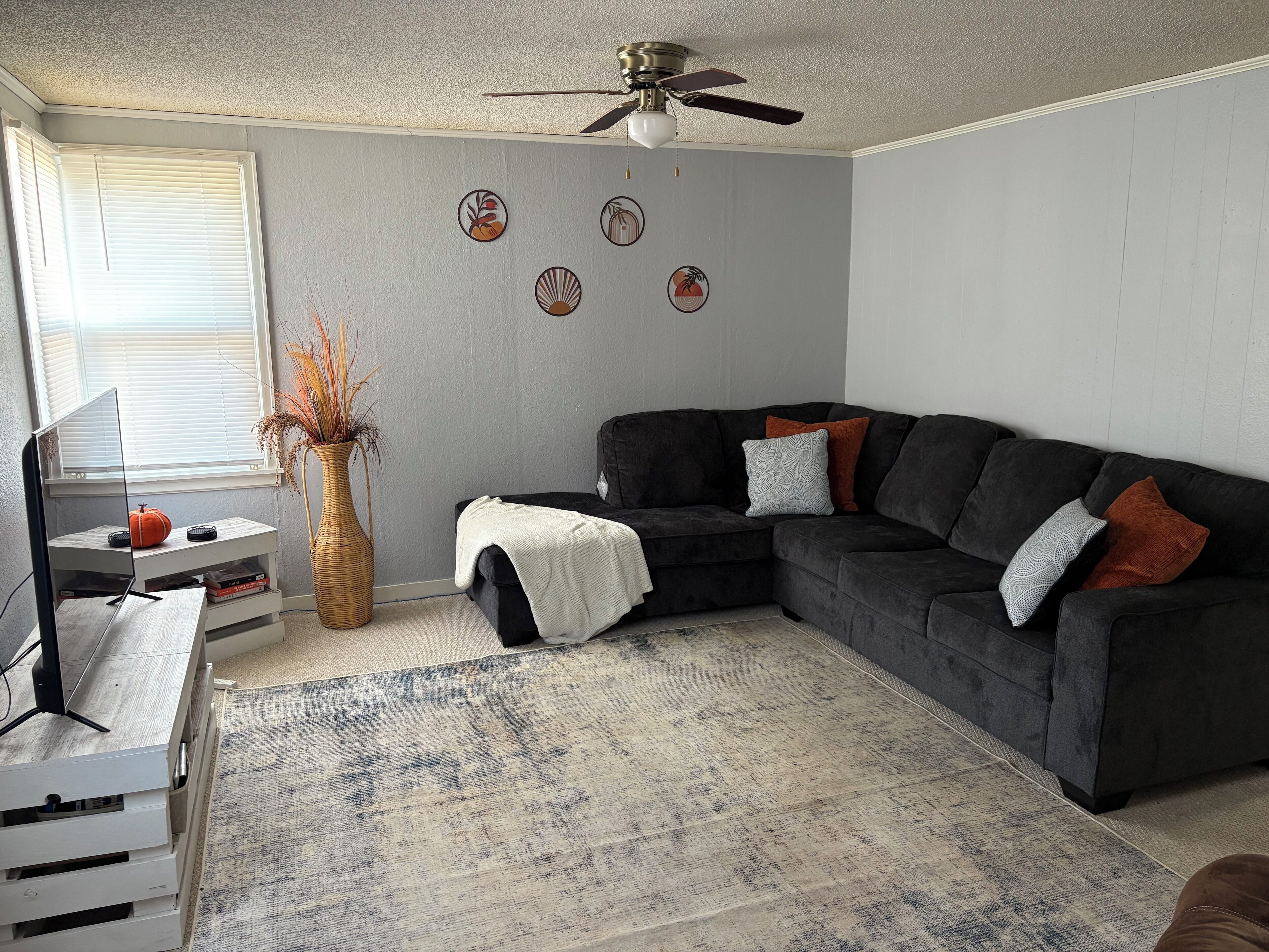 Smart TV, reproductor de DVD y libros 