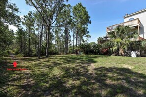 Escape to a serene beachside retreat surrounded by tall pine trees and a tranquil atmosphere.