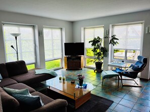 TV, DVD player, books, music library