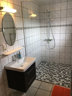 Shower, hair dryer, soap, toilet paper