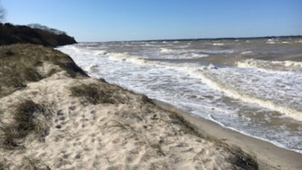 Ein Strand mit brechenden Wellen, sandigem Gelände und blauem Himmel.