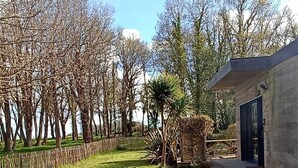 A grassy backyard with a wooden fence, a small garden area, and a building with a dark door.
