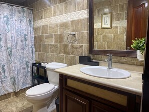 A bathroom with a toilet, sink, and shower curtain.