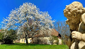 Property grounds - Near Sarlat CHEZ-SOI in the middle of nowhere + Pool/Spa & Jacuzzi  (Simeyrols)