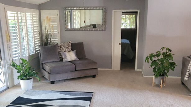 A living room with a grey sofa, a ceiling fan, a large mirror, and two potted plants. - Nice home for rent in a quiet area close to Scottsdale and Glendale  area.  Open (Sun City)