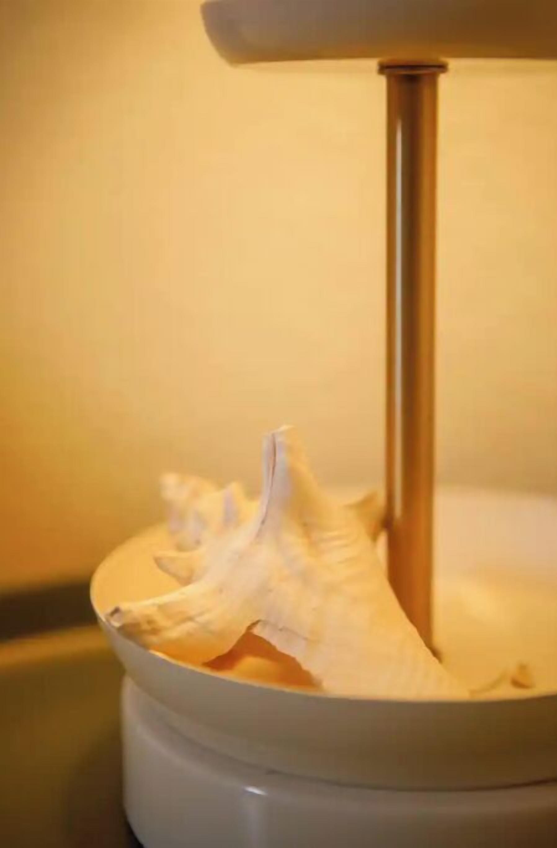Un tazón blanco con un objeto blanco en su interior, posiblemente un alimento, sobre una superficie blanca con un soporte metálico al fondo.