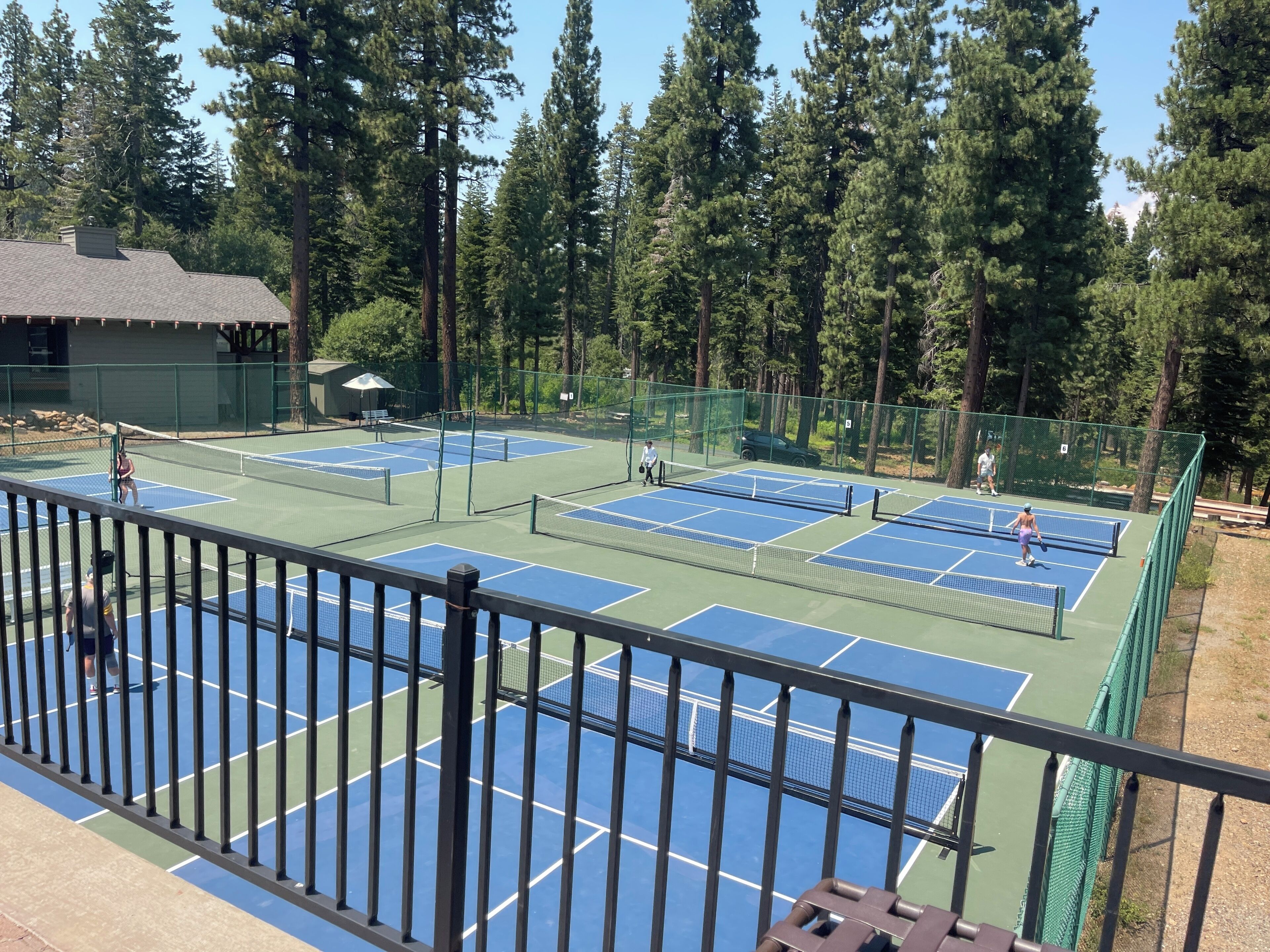 Un court de tennis entouré d’arbres.