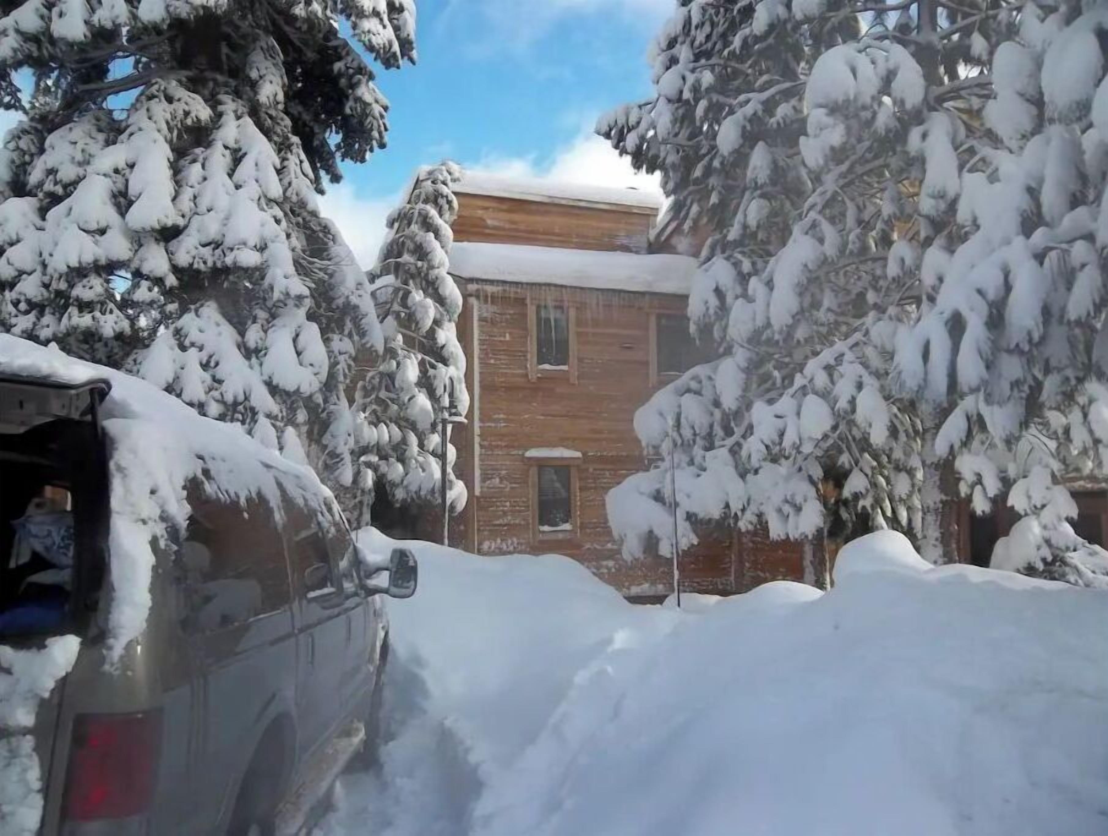 Paisaje nevado con un edificio y árboles.