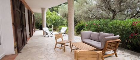 テラス / パティオ