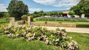Un jardín ajardinado con un muro de piedra, un árbol grande y un edificio con coches aparcados al fondo.