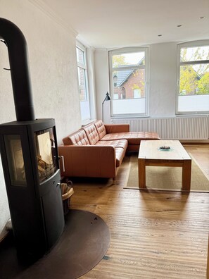 Smart TV, chimenea y libros 