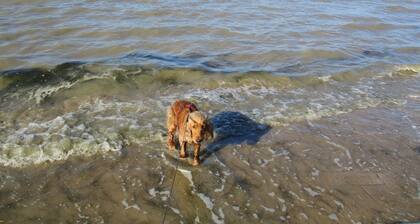 1 minute away, delights of the sea!