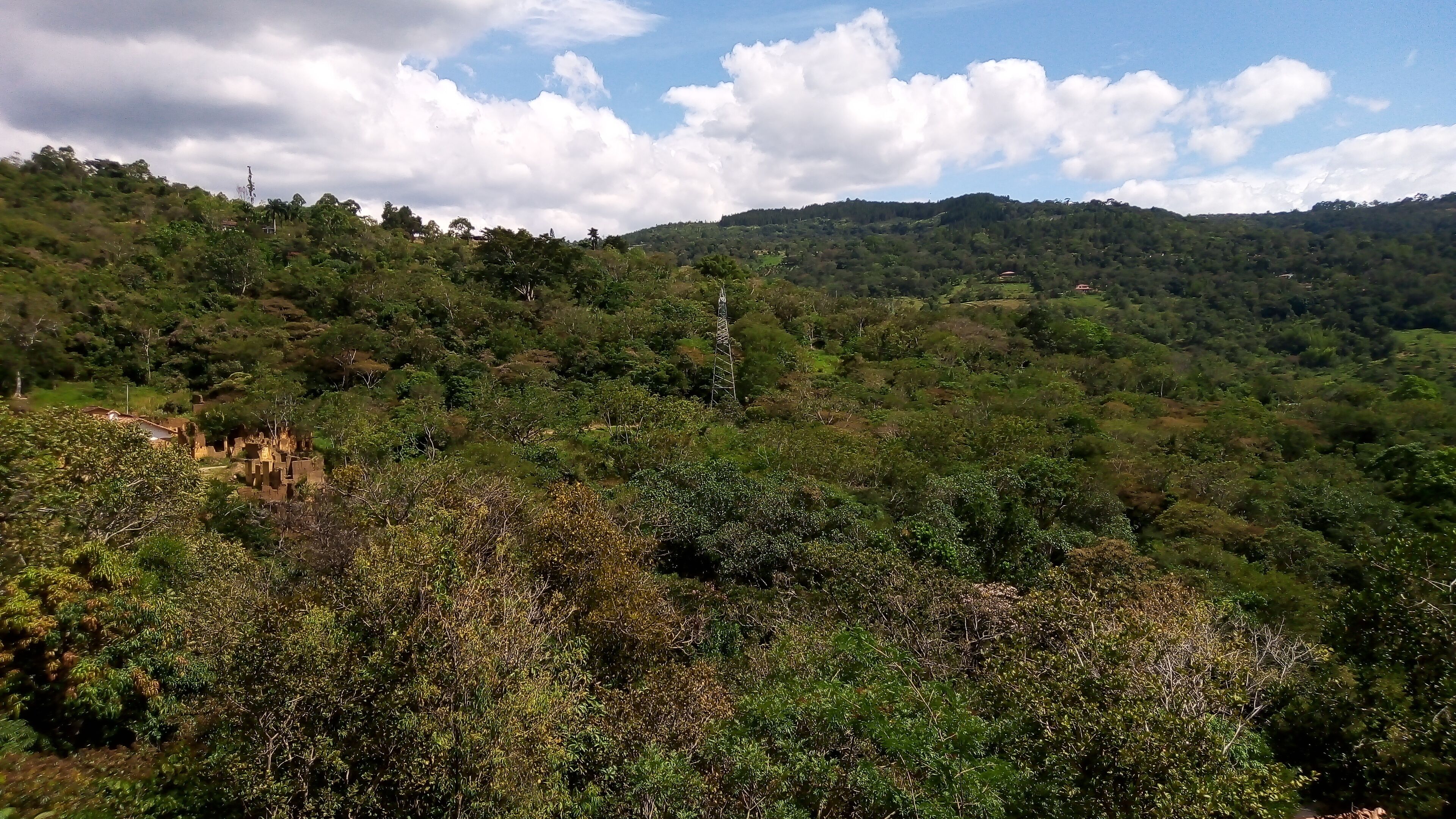 A lush, green landscape with dense vegetation and a few scattered buildings.