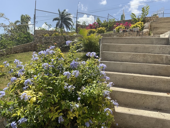 Terrein van de accommodatie