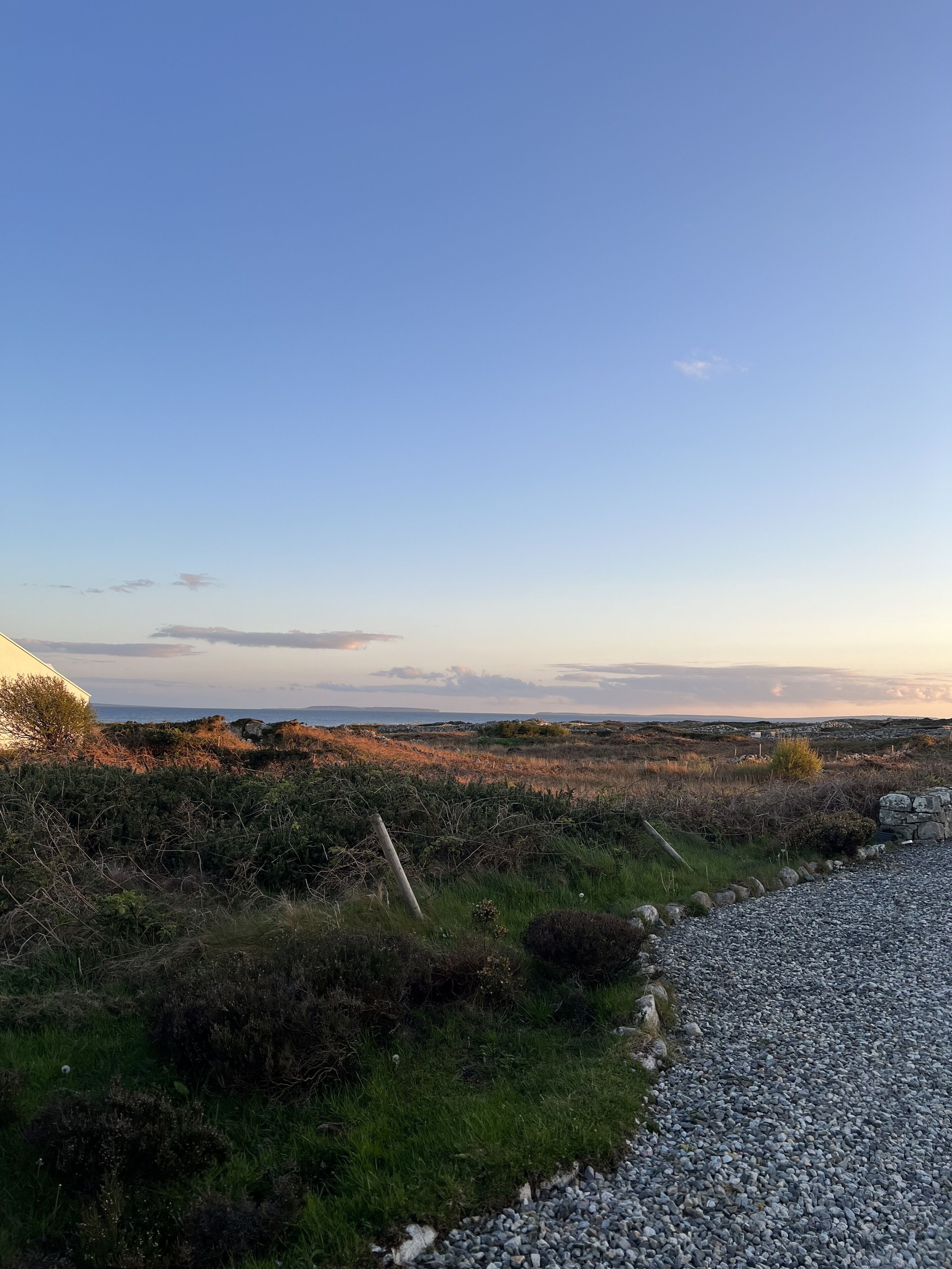 A coastal landscape with a gravel path and sparse vegetation.