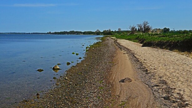 A sandy beach with a clear view of the water and distant trees.
