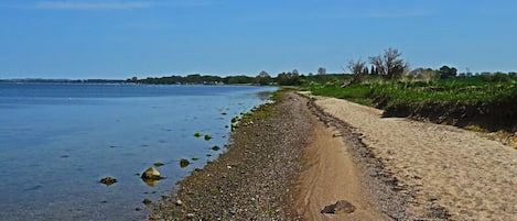 Beach nearby, sun loungers