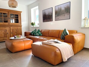 TV, fireplace, books