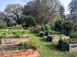 Terrain de l’hébergement 