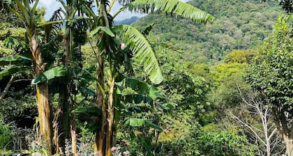 Beautiful apartment 5 minutes from downtown Boquete