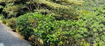 Beautiful apartment 5 minutes from downtown Boquete