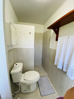 Doccia, asciugacapelli, asciugamani, sapone