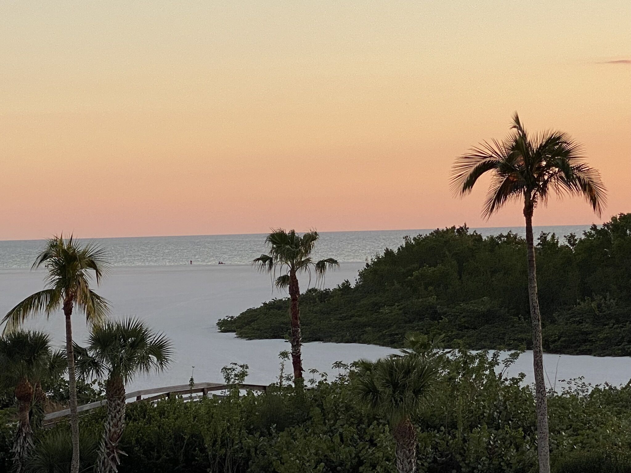 A coastal landscape with palm trees and a calm sea during sunset.