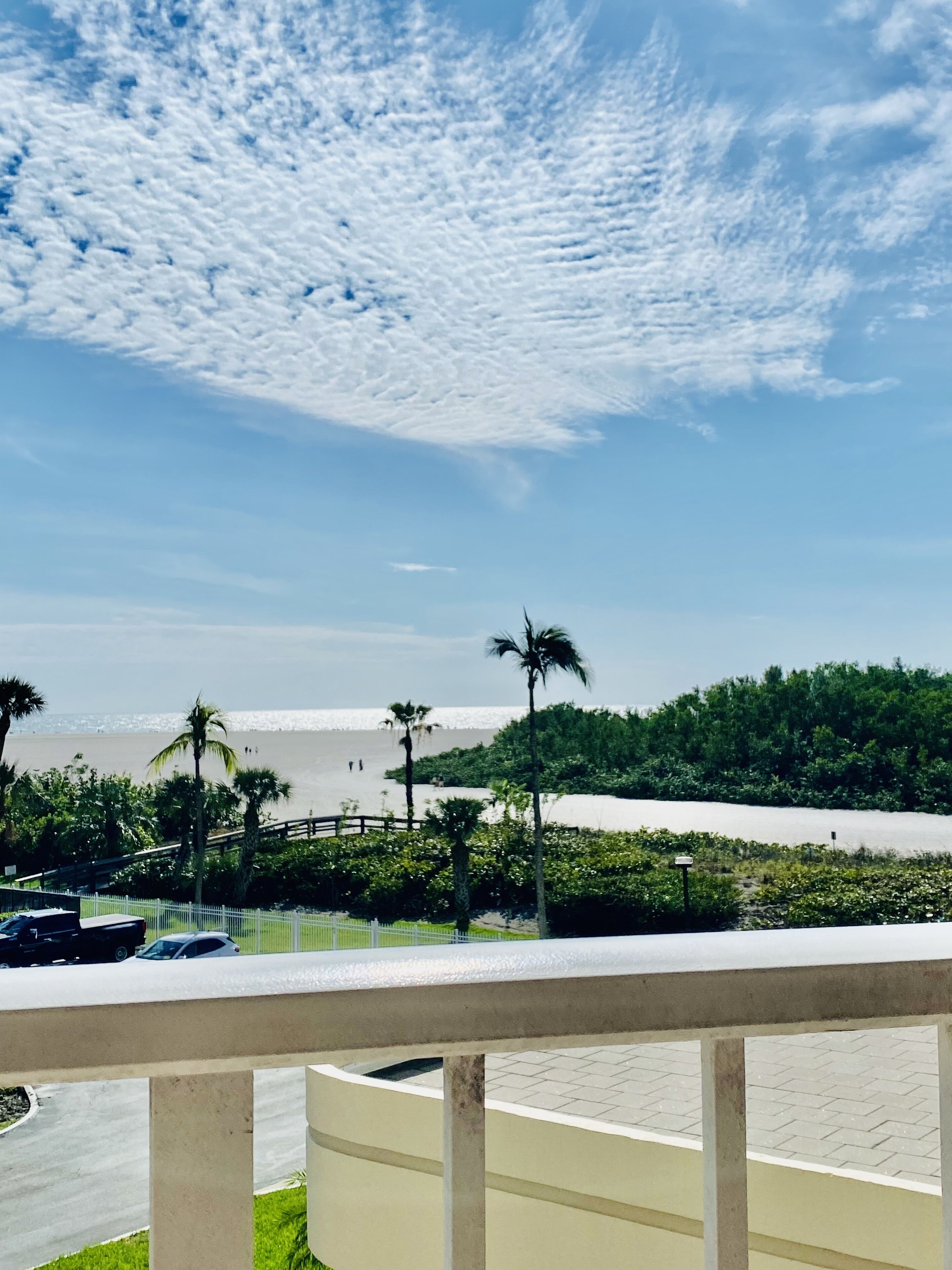 A view of a beach with palm trees and a clear sky.