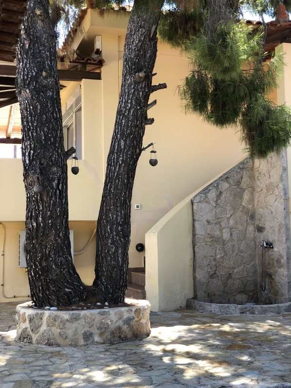 DĂ©tail de lâextĂ©rieur