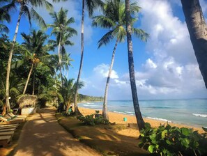 Sun-loungers, beach towels