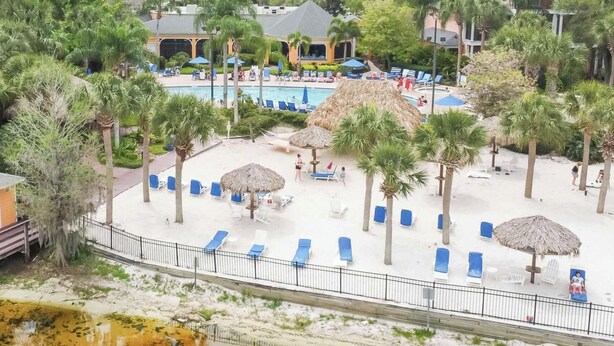 Un resort con área de piscina, sillas de descanso, palmeras y un pequeño edificio.