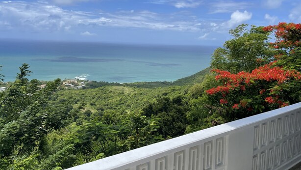 Un balcone con vista sull'oceano e sulla vegetazione lussureggiante.