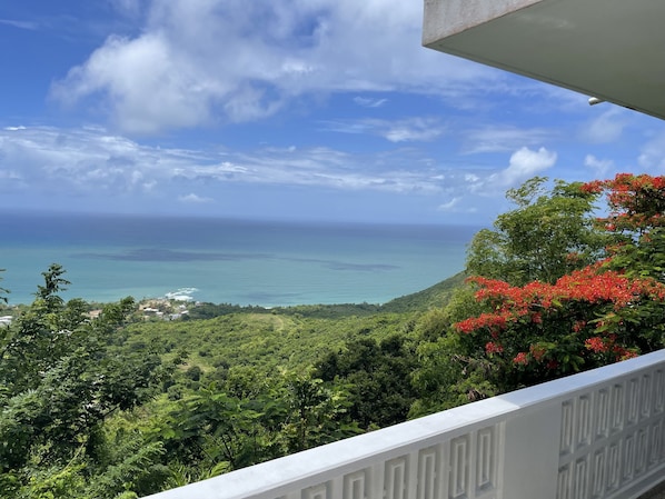 Beach - Mi Casita in the Mountains_ 5 Min from the beach!_ Breathtaking View! (Yabucoa)