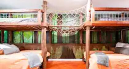 Adventure house under the redwoods, with spa! 🌲
