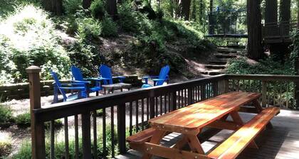 Adventure house under the redwoods, with spa! 🌲