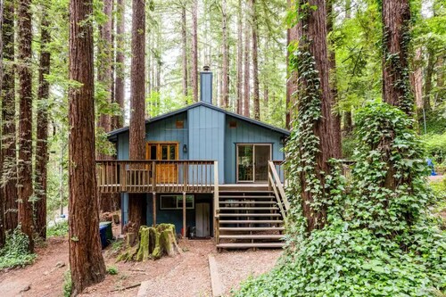 Adventure house under the redwoods, with spa!