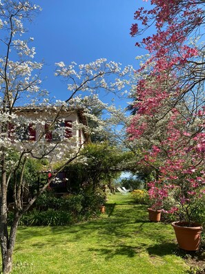 Property grounds - Villa Passonovo, Italian Villa in Orvietan countryside (Umbria)