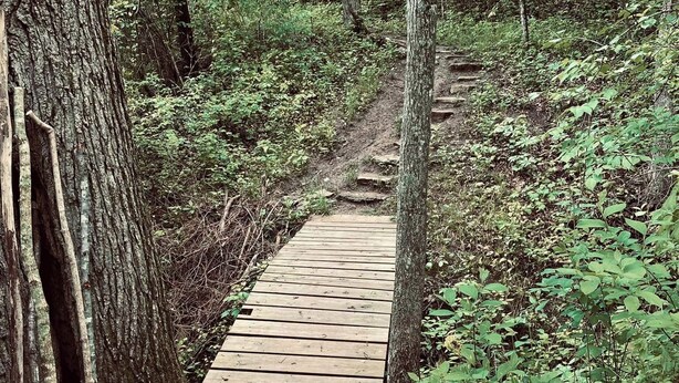 A narrow wooden pathway in a forested area with trees on either side. - Nonnie's Nest -     Peaceful Walk-In Condo Near Lake Taneyco (Branson)