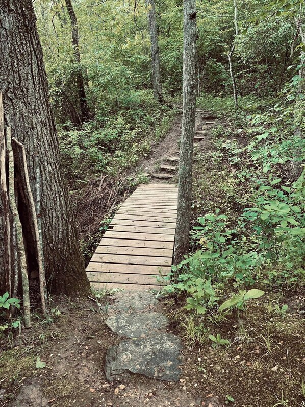 Un sentiero di legno stretto in una zona boschiva, con alberi su entrambi i lati.