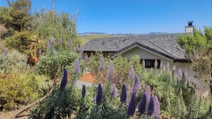Une maison avec un toit en pente, entourée d’un jardin où poussent des fleurs violettes et différentes espèces d’arbustes.
