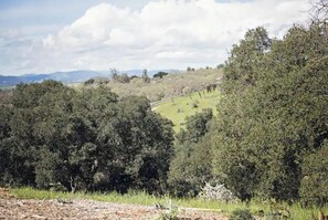 Miscellaneous - Central Coast Country Escape for 2 (Templeton)