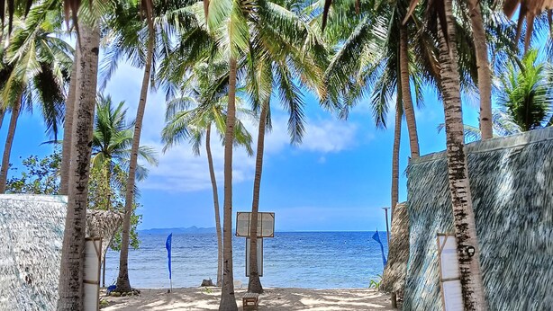 Une plage bordée de palmiers, une structure à toit de chaume et une vue dégagée sur l’océan.