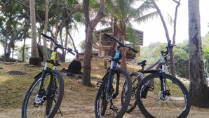 Deux vélos sont garés dans un cadre naturel, avec des arbres et un bâtiment en arrière-plan.