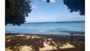 Sun-loungers, beach towels