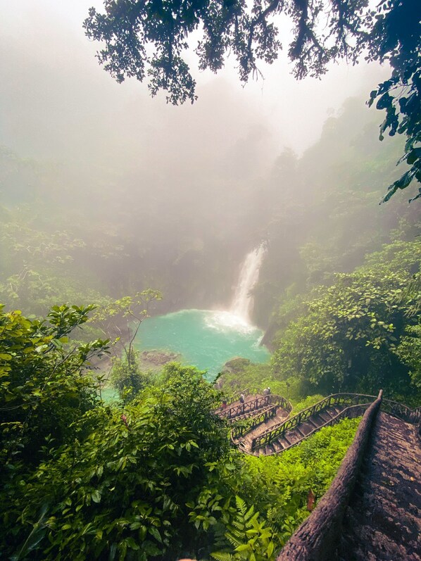 A lush, green landscape with a waterfall and a clear pool.