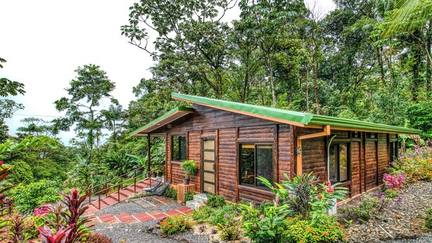 A wooden cabin with a green roof, surrounded by lush vegetation and a variety of colorful plants. - Pura Vidaville. Jungle Oasis w/AC, Fast WiFi & Private River Access-Tenorio Park (Bijagua)