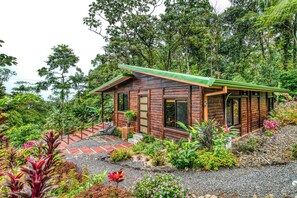 Une cabane en bois surmontée d’un toit vert, entourée d’une végétation luxuriante et d’une variété de plantes aux couleurs vives.